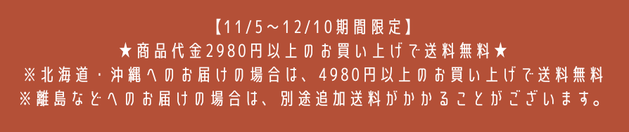 🎁送料無料キャンペーン開催！